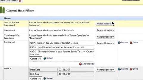SurveyAnalytics Grouping and Segmentation
