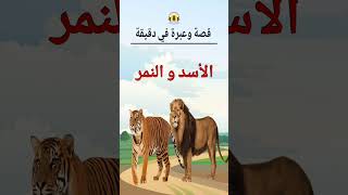 قصة الأسد والنمر، قصة وعبرة في دقيقة، shorts shortsvideo حكمة