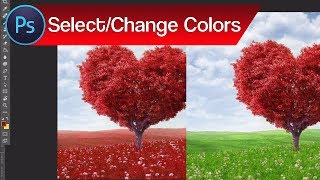 How to Select and Change Colors in Photoshop – Change Color of Objects | Adobe Photoshop Tutorial