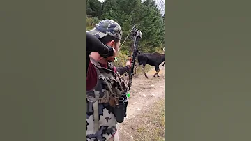 как думаете убьет или нет ?