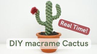 Macrame Cactus | FULL TUTORIAL | Make along