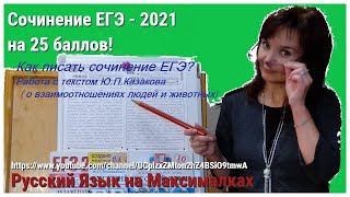 СОЧИНЕНИЕ ЕГЭ по тексту  Казакова Ю.П. о докторе и слепом псе.