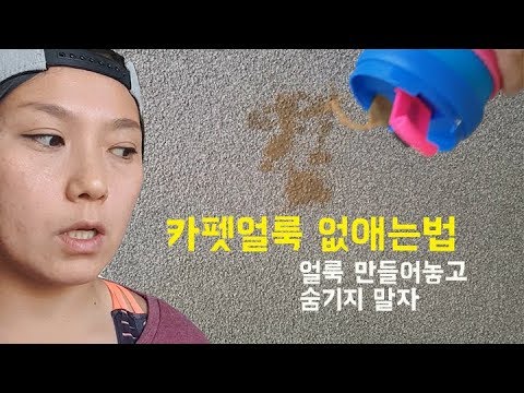 카펫얼룩 지우는법 - Feat. 남의집 카펫얼룩 만들고 숨길생각 추호에도 하지마라