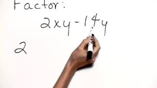 Akst Introductory Algebra Ch06 Ex02