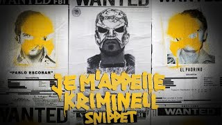 18 Karat Je M'Appelle Kriminell Album Leak Free Download