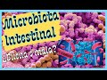 🦠MICROBIOTA INTESTINAL: La clave para un cuerpo sano y bello🩺