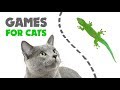 CAT GAMES ★ LIZARD on the SCREEN