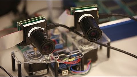 Chips to Study Natural Intelligence and to Build Artificial Intelligence