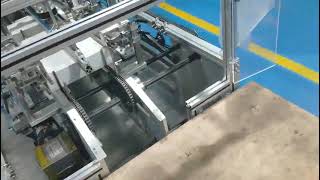 Automatic Horizontal Medical Gloves box Cartoning Packing Machine