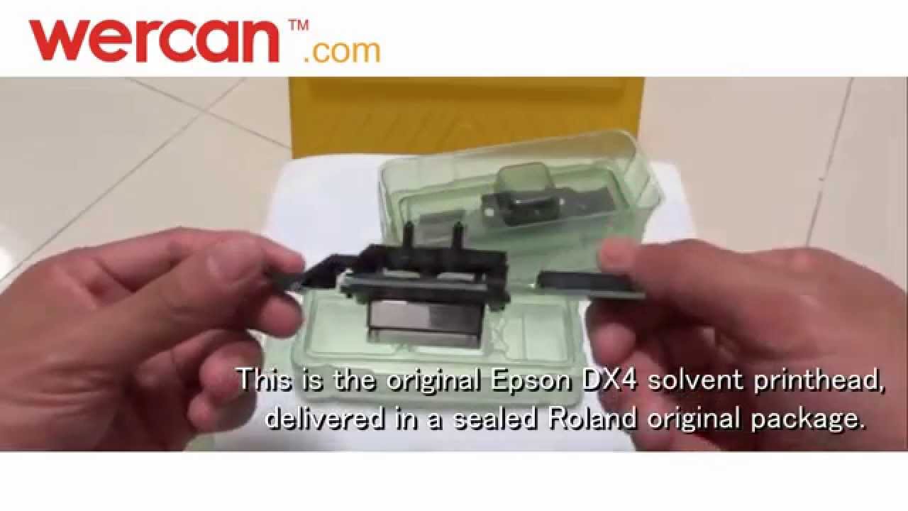 roland dx4 eco solvent printhead