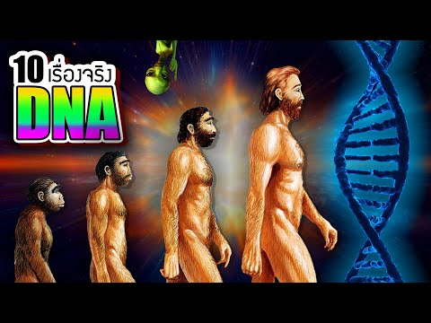 วีดีโอ: คุณถ่ายทอดลำดับ DNA อย่างไร?