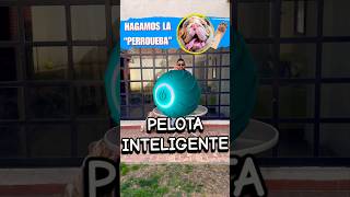 No compres esta pelota 🥎, sin antes ver el video #pets #puppy #funny