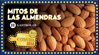 Las Almendras Tienen Pocas Calorías? Conoce Los Mitos Y Verdades De Este Fruto Seco