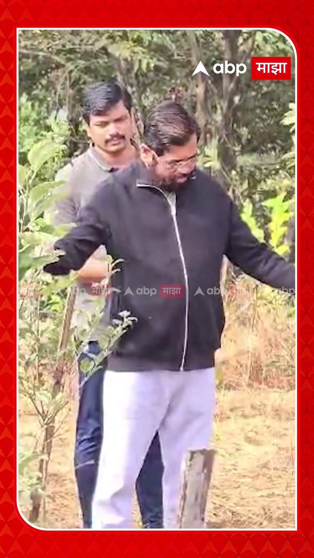 Eknath Shinde Daregaon : स्वतः चालवली गोल्फ कार्ट, शिंदेंनी दरे गावातील शेतीचा मारला फेरफटका