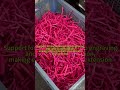 Why So Many Pink Plastic Parts? | Satisfying Factory Production 😳 #manufacturing