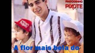 Pixote - Zeca pagodinho chords