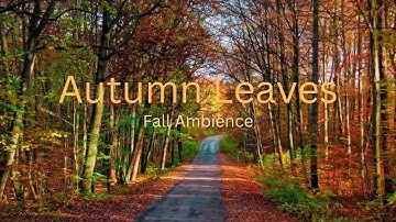 Autumn Leaves | Beautiful Fall Ambience With Soft Music