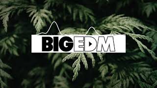 KSHMR ft.Sidnie Tipton - Wildcard (BZZAR Remix) | BIG EDM