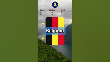 Which Flag is CORRECT? (pt.7) #shorts #geography