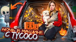 видео: НОЧЬ НА ПОДЗЕМНОЙ ПАРКОВКЕ С КОТОМ И СОБАКОЙ | TYCOCO ПРИШЕЛ НА HALLOWEEN картинка: НОЧЬ НА ПОДЗЕМНОЙ ПАРКОВКЕ С КОТОМ И СОБАКОЙ | TYCOCO ПРИШЕЛ НА HALLOWEEN
