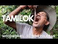 Vlog: El Nido, Palawan On The Hunt For Tamilok (Woodworms)