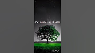 سورة البقرة (33-36) للقارئ سعود شريم
