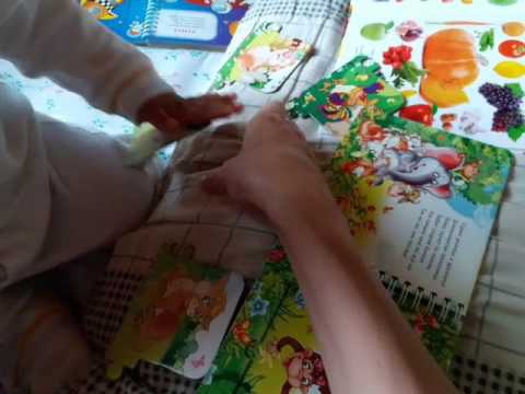 Книжка-игрушка "Загадки в картинках" - Сергей Гордиенко