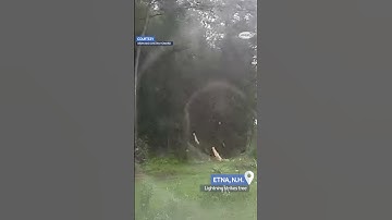 Video captures lightning strike a tree near a New Hampshire home #shorts