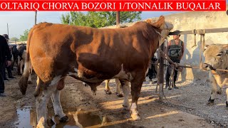 OLTARIQ CHORVA BOZORI DAXSHAT BO’LDI 