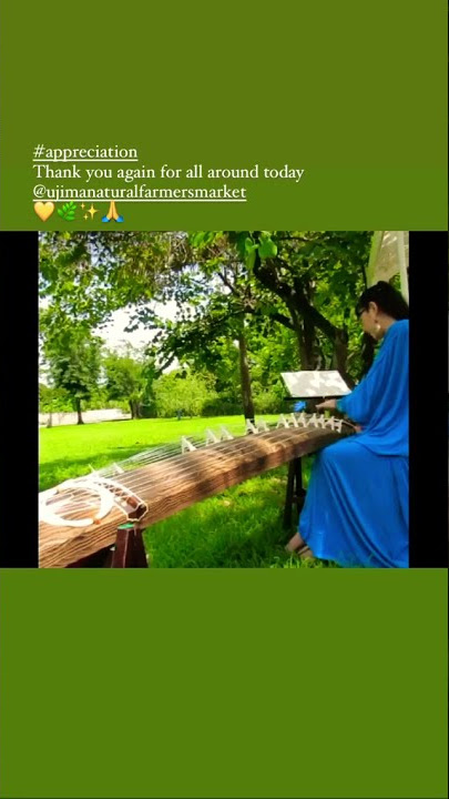 KOTO : Japanese traditional 13 strings music instrument / Maki - free style 1 -