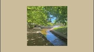 sunny day - beabadoobee (sped up)