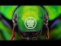 Adaptalux Macro Photography Awards 2025