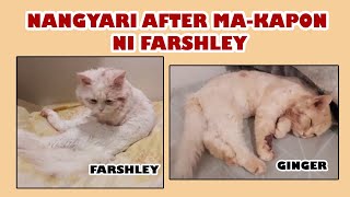 AFTER MAKAPON NI FARSHLEY II NAKAKALUNGKOT II DUGUAN NA PAGAAWAY NI FARSHLEY AT GINGER II CATROPA