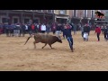 IV Toro de la Purísima. Villalpando. 6 Diciembre 2017