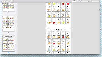 Product Preview -  Language Arts Level 1 File Folder Activities