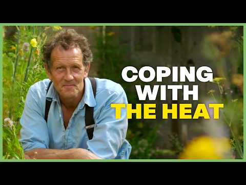 Inside Longmeadow: Monty Don's Tips to Protect Your Garden from Drought | Gardeners' World