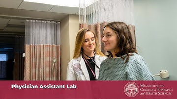 Accepted Student Major Spotlight: Physician Assistant Studies Pathway
