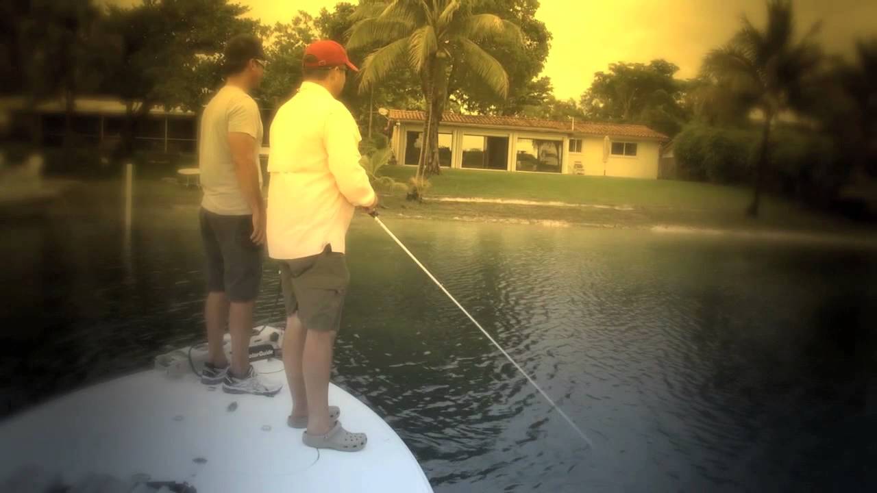 Peacock Bass fishing tips and techniques by Peter Miller Fishing