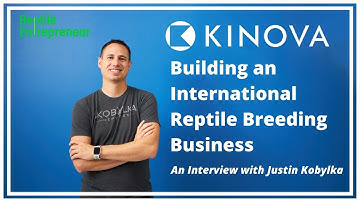 Building an International Reptile Breeding Business with Justin Kobylka