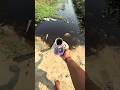 go4 testing and pvc pipe water testing throw