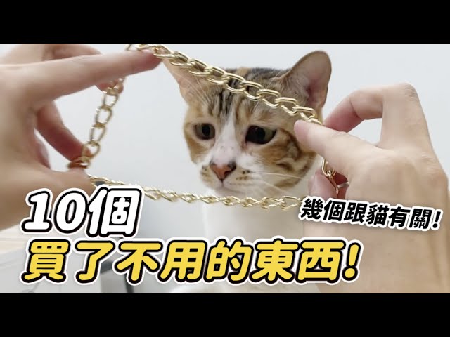 【10個買了不用的東西！幾個跟貓有關！】志銘與狸貓