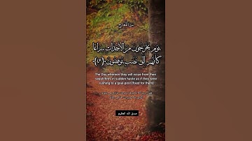 يوم يخرجون من الأجداث سراعا كأنهم إلى نصب يوفضون (سورة المعارج) #quran_kareem #قرآن_كريم