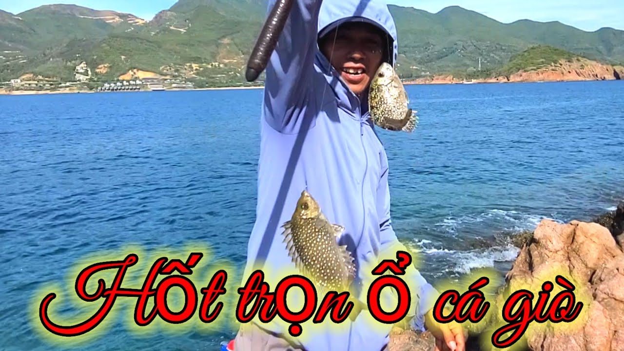 vuongfishing86  / Ngày trở lại hòn nhàn  _ Bãi xếp câu cá giò bằng mồi bột hốt trọn ổ cá giò