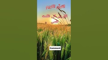 #القران_الكريم #تلاوه_خاشعه #foryou #الشيخ محمود #قال ربی انی ظلمت