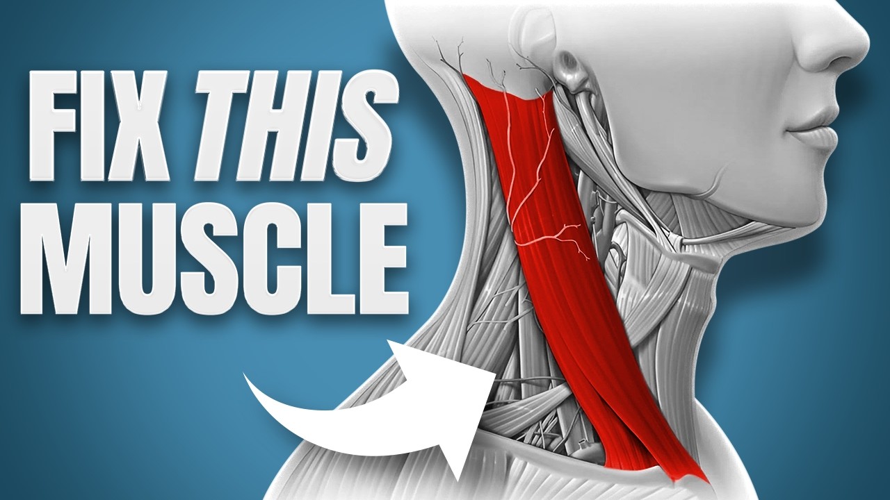 This 'MAGIC' Muscle Can Fix All Your Neck Problems