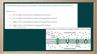 WCLN - AP 12 Unit 2- Cells- Question 14 Explanation
