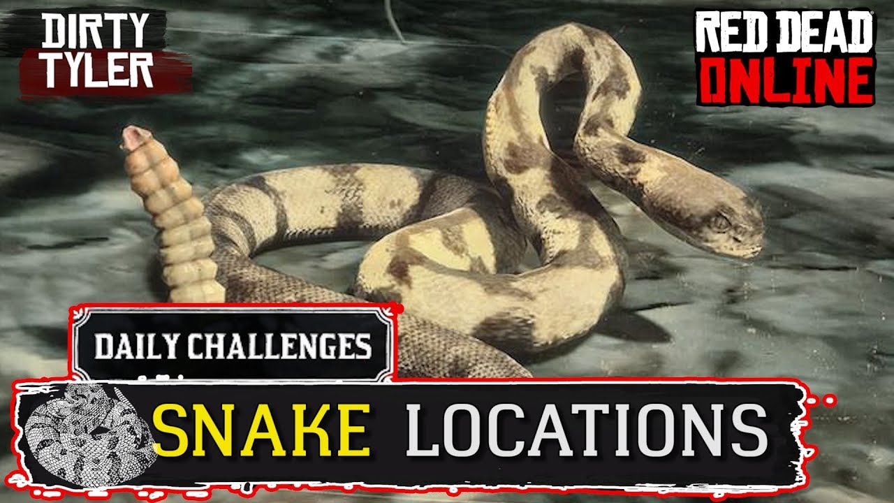 How To Kill A Snake Rdr2 All information about Service