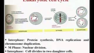 Mod-01 Lec-07  Lecture-07-Introduction to Biomaterials