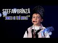 Romanii Au Talent 2022: Stefan Brinza le-a topit inimile juraților! “Soacra cu trei nurori” PART.2