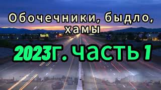 Обочечники, быдло, хамы  2023г часть 1